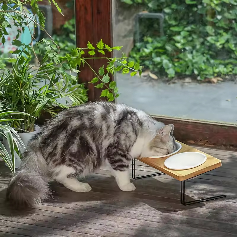 Bambuswasserstill -Feeder erhöhte Katzenfutterschale 
