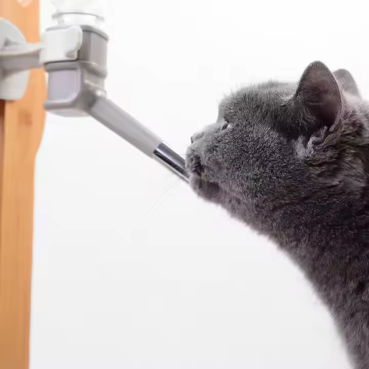 Umweltfreundlicher Haustierfeeder Automatischer Wasserspender für Katzen oder Hunde 